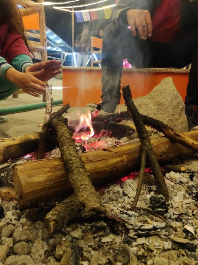 Backpackers Headquarter Manali旅舍 外观 照片